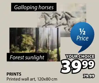JYSK PRINTS Printed wall art offer