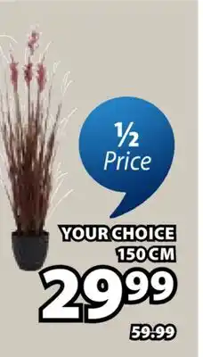 JYSK MARKUSFLUE / GRASUGGA Artificial beach grass offer