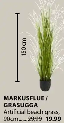 JYSK MARKUSFLUE / GRASUGGA Artificial beach grass offer