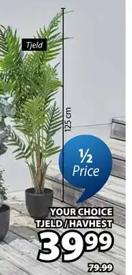 JYSK TJELD/HAVHEST Artificial potted plant offer