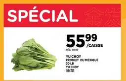Kim Phat Yu Choy offer