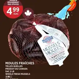 Kim Phat WHOLE FRESH MUSSELS offer