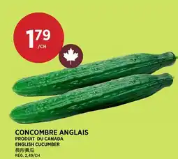 Kim Phat ENGLISH CUCUMBER offer