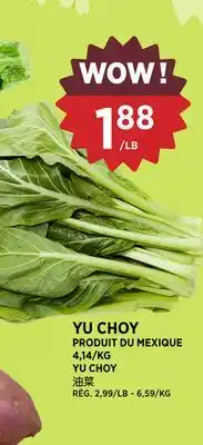 Kim Phat YU CHOY offer