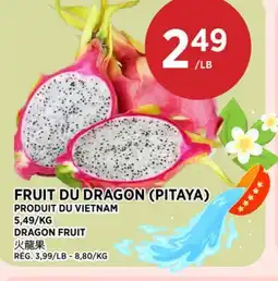 Kim Phat DRAGON FRUIT offer