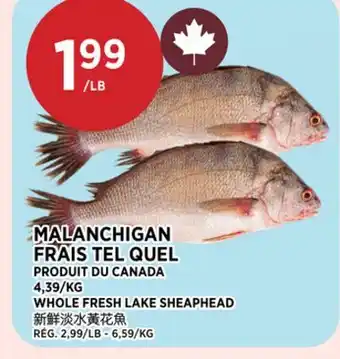 Kim Phat WHOLE FRESH LAKE SHEAPHEAD offer