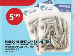 Kim Phat OCEAN HARVEST FROZEN HEADLESS SMELT FISH offer