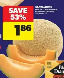 Real Canadian Superstore CANTALOUPE offer