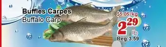 Marche C&T Buffles Carpes offer
