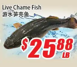 WinCo Food Mart Live Chame Fish offer