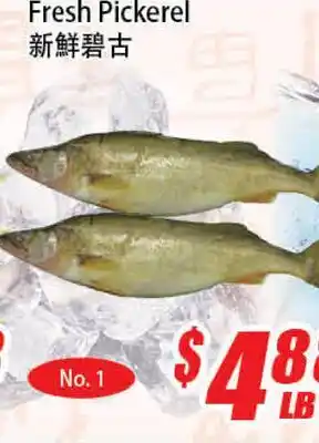 WinCo Food Mart Fresh Pickerel offer