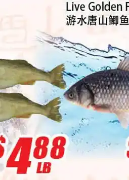 WinCo Food Mart Live Golden Fish offer