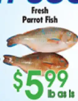 Danforth Food Market Fresh Parrot Fish offer