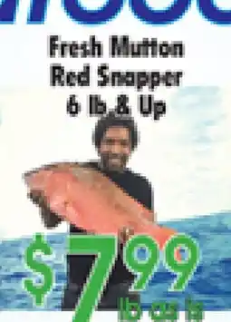 Danforth Food Market Fresh Mutton Red Snapper offer