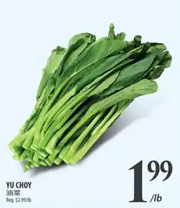 Al Premium Food Mart Yu choy offer