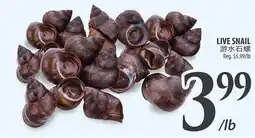 Al Premium Food Mart Live snail offer