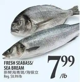 Al Premium Food Mart Fresh seabass sea bream offer