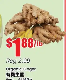 Btrust Supermarket Organic Ginger offer