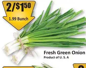 Starsky Fresh Green Onion offer