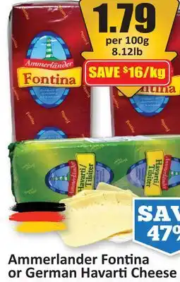 Starsky Ammerlander Fontina or German Havarti Cheese offer