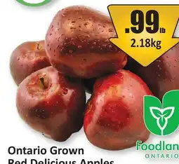Starsky Ontario Grown Red Delicious Apples offer