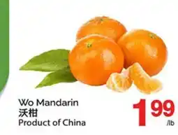 T&T Supermarket WO MANDARIN offer