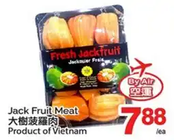 T&T Supermarket JACK FRUIT MEAT offer