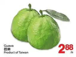 T&T Supermarket GUAVA offer