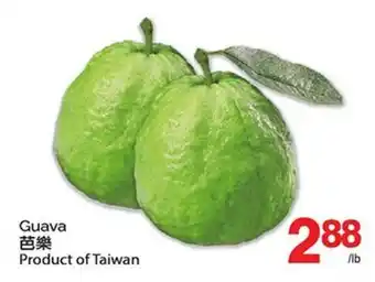 T&T Supermarket GUAVA offer
