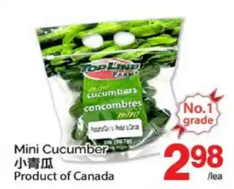 T&T Supermarket MINI CUCUMBER offer