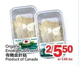 T&T Supermarket Organic Enoki Mushroom offer