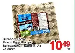 T&T Supermarket BURNBARE FARMS BROWN EGGS (LARGE), 2.5 dozen offer