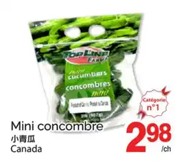 T&T Supermarket MINI CONCOMBRE offer