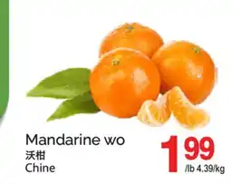 T&T Supermarket MANDARINE WO offer