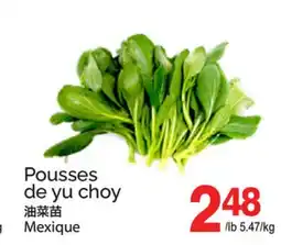 T&T Supermarket POUSSES DE YU CHOY offer