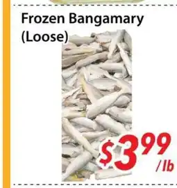 Bestco Food Mart Frozen Bangamary (Loose) offer