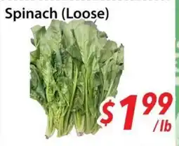 Bestco Food Mart Spinach (Loose) offer