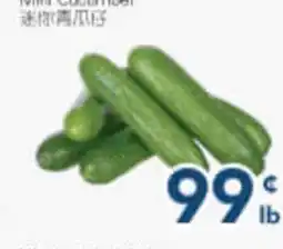 Oceans Fresh Food Market Mini Cucumber offer