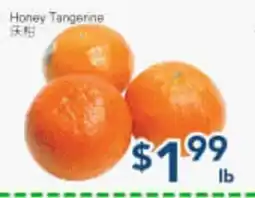 Oceans Fresh Food Market Honey Tangerine offer
