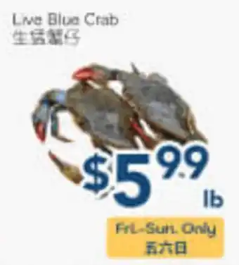 Oceans Fresh Food Market Live Blue Crab offer