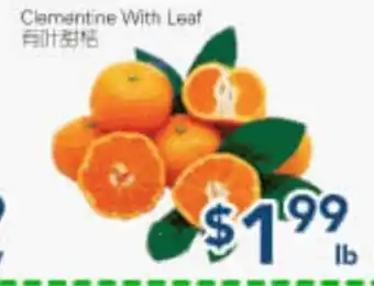 Oceans Fresh Food Market Clementine With Leaf offer