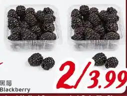 United Supermarket Blackberry offer