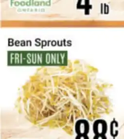 Nations Fresh Foods Bean Sprouts offer