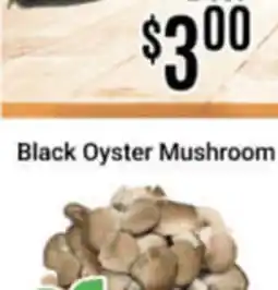 Nations Fresh Foods Black Oyster Mushroom offer