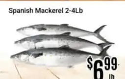 Nations Fresh Foods Spanish Mackerel 2-4Lb offer