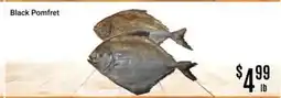Nations Fresh Foods Black Pomfret offer