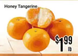 Nations Fresh Foods Honey Tangerine offer
