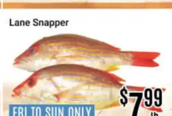Nations Fresh Foods Lane Snapper offer