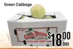 Nations Fresh Foods Green Cabbage offer