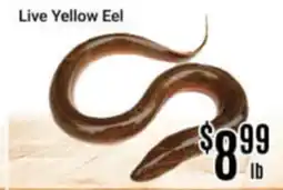 Nations Fresh Foods Live Yellow Eel offer